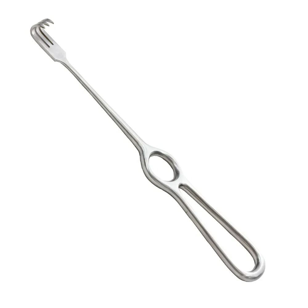 WhatsApp-Image-2023-04-27-at-10.04.41