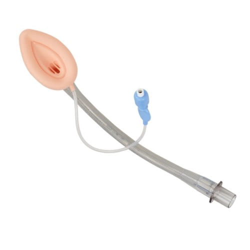 WhatsApp-Image-2023-05-05-at-09.09.16